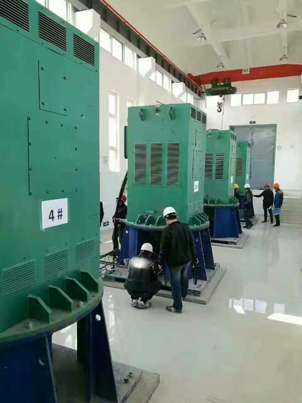 YJTFKK3554-2/315KW某污水处理厂使用我厂的立式高压电机安装现场