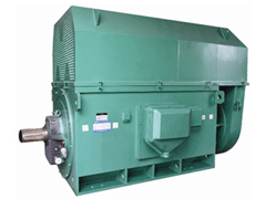 YJTFKK3554-2/315KWYKK系列高压电机