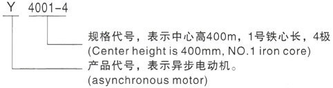 西安泰富西玛Y系列(H355-1000)高压YJTFKK3554-2/315KW三相异步电机型号说明